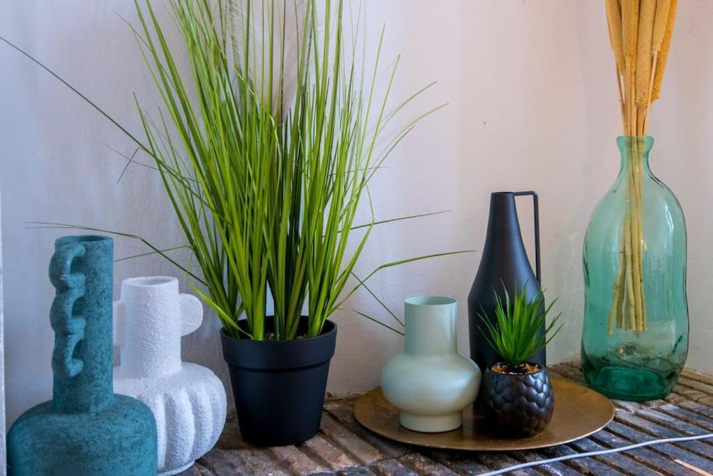 Le Botanica Lejlighed Angers Eksteriør billede